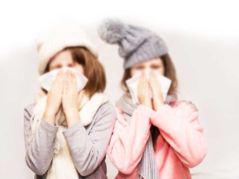 Εποχική γρίπη Seasonal Flu