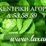 Λαχανόκηπος