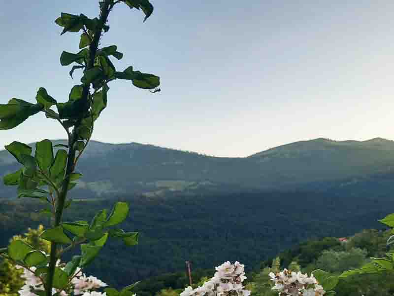 Φιλιππαίοι Γρεβενών